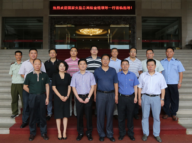 國家安監總局檢查組到mg4377娛樂電子遊戲網站控股集團檢查安全生産